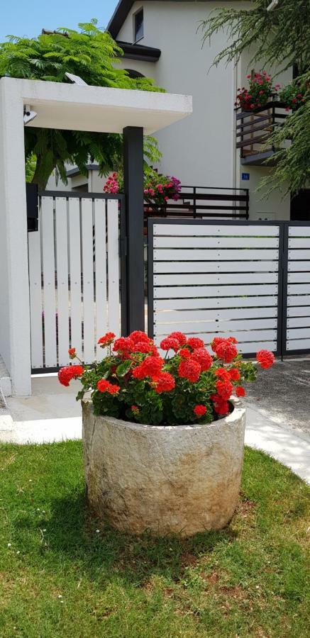 Fiori Apartment Umag Dış mekan fotoğraf