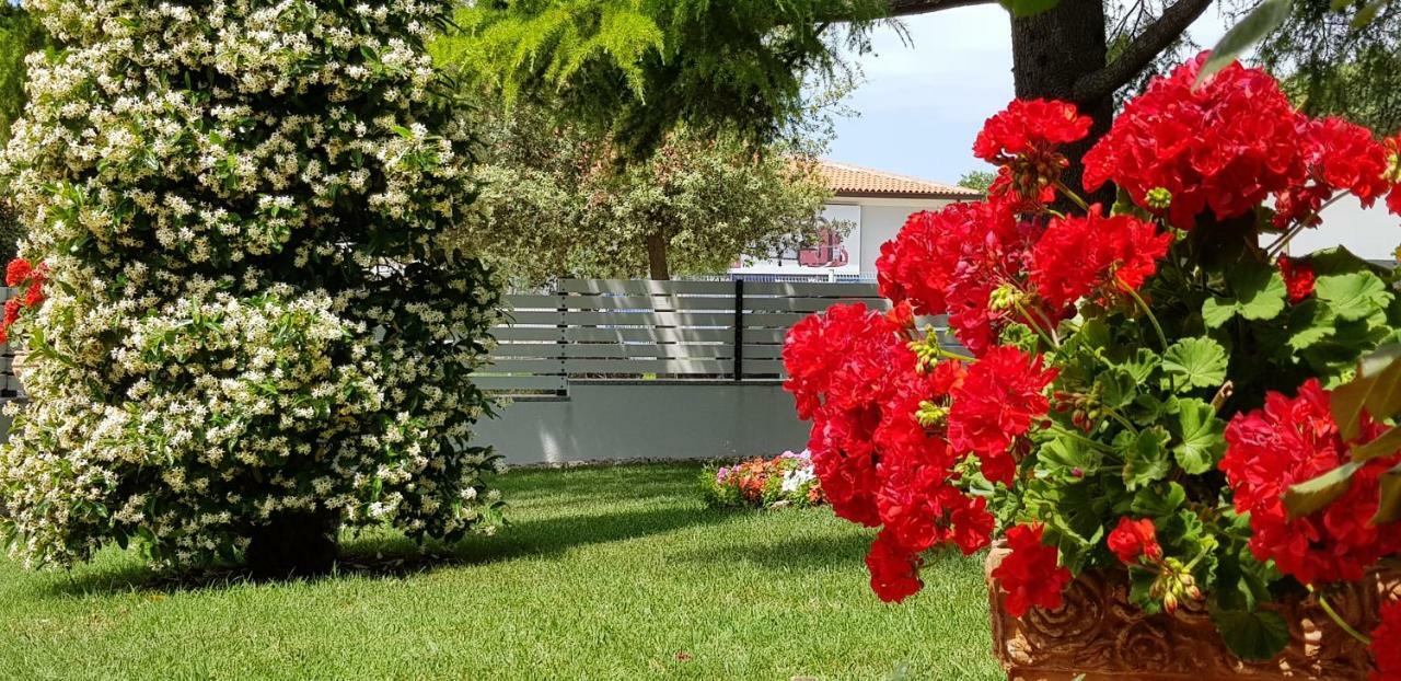 Fiori Apartment Umag Dış mekan fotoğraf